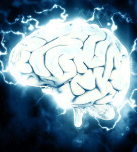 Brain (TheDigitalArtist - pixabay.com)